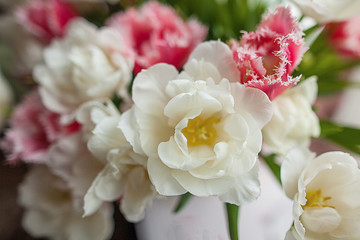 Bouquet of pink and white tulips on a light background in gentle tones