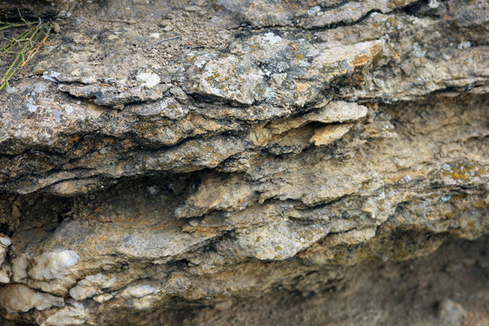 side view of section of brown naked layered limestone native sedimentary rock-limestone-in the thickness of the soil closeup