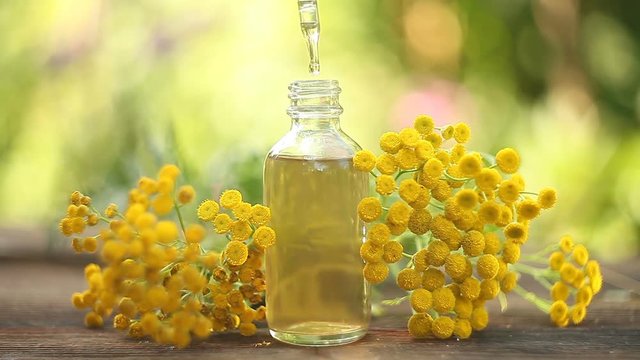 tansy essential oil in  beautiful bottle on table