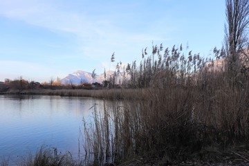 LAC SAINT ANDRE - LES MARCHES - SAVOIE - RHONE ALPES - FRANCE