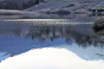 LAC SAINT ANDRE - LES MARCHES - SAVOIE - RHONE ALPES - FRANCE