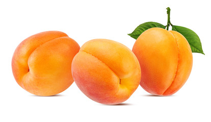 Fresh apricots with leaves isolated on white background with clipping path