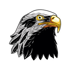 Bald Eagle, Head of Eagle Vector Illustration, Isolated Vector