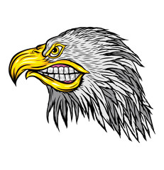 Head of Eagle Angry Face, Vector Illustration, Isolated Vector - Mascot Logo