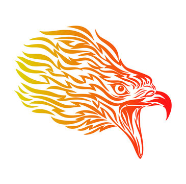 Flaming of Eagle Head, Head of Eagle Vector Illustration, Isolated Vector - Mascot Logo