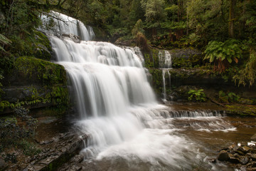 Fototapeta na wymiar Liffey Falls, Tasmania