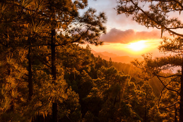 Sunset at Tamadaba Natural Park, Gran Canaria, Spain