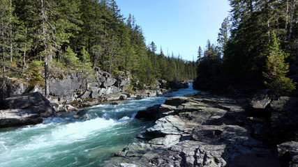 Swift stream in Glacier National Park