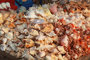heap of oyster in a store