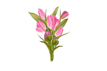 A bouquet of gently pink tulips and peonies bud. Realistic spring flowers on a white background. Vector illustration.