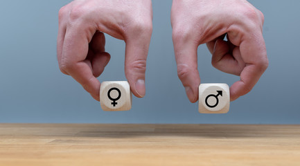 Symbol für Gleichberechtigung zwischen Männern und Frauen. Hände halten zwei Würfel in gleicher...