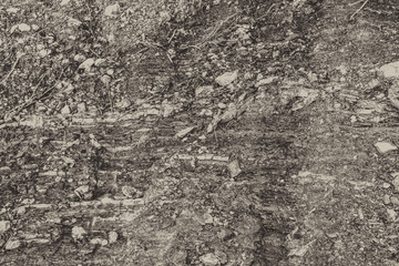 Gold background of layered limestone with stones and plant roots