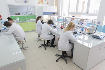 Obraz premium Group of young Laboratory scientists working at lab with test tubes and microscope, test or research in clinical laboratory.Science, chemistry, biology, medicine and people concept.