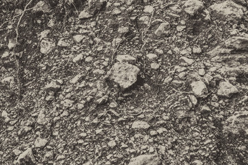 Gold abstract background of rocky soil with plant roots