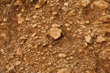 Abstract background of rocky soil with plant roots