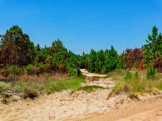 Sand Road