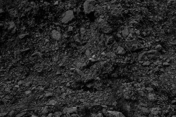 Black and white abstract background of rocky soil with plant roots for poster, calendar, post, screensaver, wallpaper, card, banner, cover, copy space for your design or text. High quality photo
