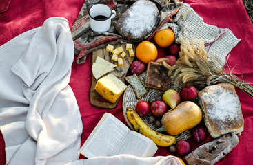 Cheese, bread, fruits. At a picnic