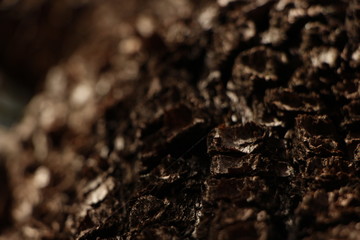 bark
