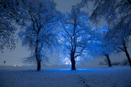 Winter