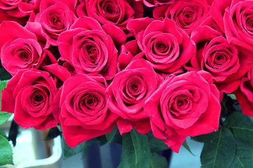 bouquet of red roses