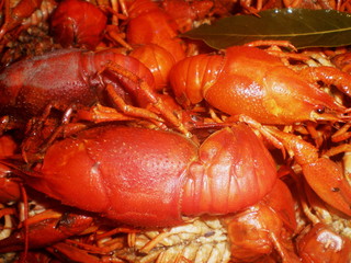 Gourmet. Appetizing boiled crayfish with spices and bay leaf.