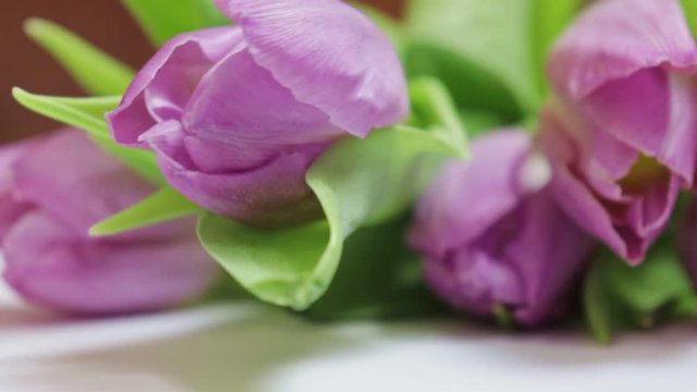 Somebody putting a bouquet of spring flowers, pink tulips on the table, close up shot - holiday gift for 8 march, Valentine day or mother's day