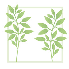 branch and leaf with frame isolated icon