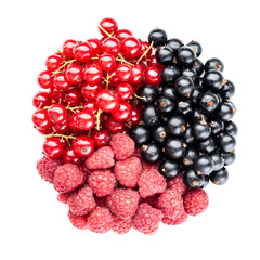 black currant, red currants and raspberry