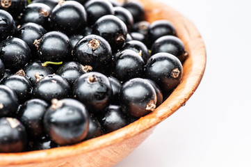 Black currant