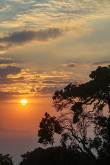 Sunrise over the ngorongoro crater with a tree and clouds, ngorongoro conservation area, Serengeti, Tanzania, Africa