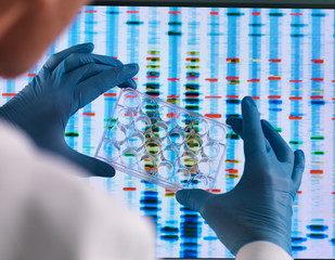 Scientist holding a multi well plate used for genetic testing with the results on a computer screen in a laboratory