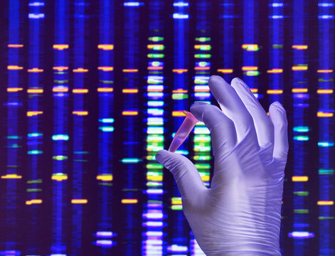 Scientist holding a DNA sample with the results on a computer screen in a laboratory