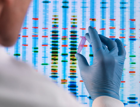 Scientist holding a DNA sample with the results on a computer screen in a laboratory - Powered by Adobe