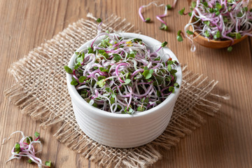 Fresh pink radish sprouts on in a bowl