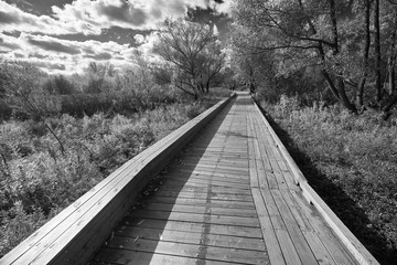 Fototapeta premium Wooden walkway in black and white