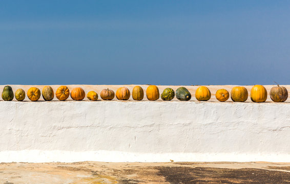 Spain, row of pumpkins