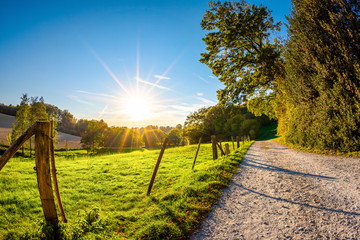 Autumn landscape at sunset with a path beside a meadow © Günter Albers