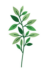 branch with leaf isolated icon