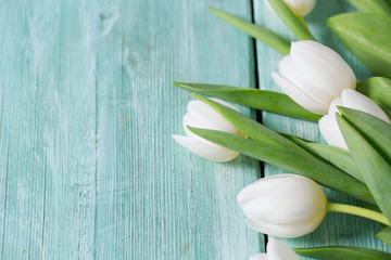 white tulips on turquoise surface