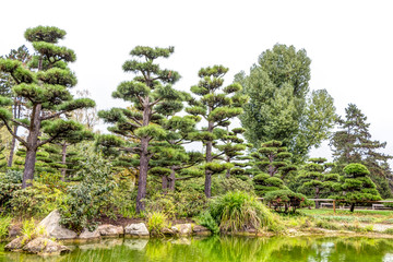 Japanischer Garten am Rhein in Düsseldorf