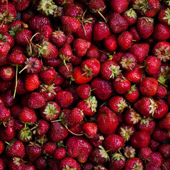 Fresh and mellow red strauberries in a box
