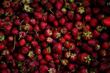 Fresh and mellow red strauberries in a box