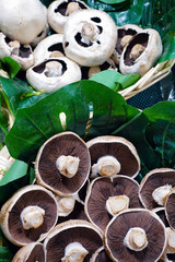 Fresh white button mushroom at the farmers market