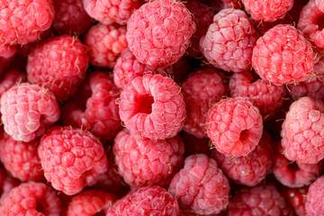 lots of fresh raspberries