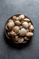 Raw fresh clams in gray plate, gray background