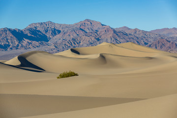 Mesquite Flat Sand Dunes, Death Valley USA