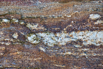 Stone texture and the foot of the rock.