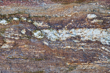 Stone texture and the foot of the rock.