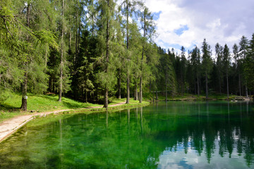 Obraz premium A lake in the forest at springtime